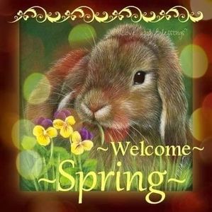 Meet your Posher, Robin